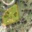land for sale agios tychonas limassol 8681501 thumbnail 16102121