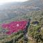land for sale pano platres limassol 1259501 thumbnail 13677041
