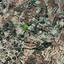 plot for sale stroumbi paphos 8237501 thumbnail 14229602