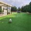 4 bedroom detached house for sale dali nicosia 1037701 thumbnail 6528639