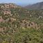 land for sale pigenia nicosia 945701 thumbnail 15600812