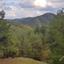 land for sale pigenia nicosia 945701 thumbnail 15600813