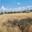 plot for sale poli chrysochous paphos 7543701 thumbnail 17007578