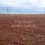 plot for sale agios theodoros larnacas larnaca 1419901 thumbnail 13966994