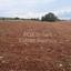 plot for sale agios theodoros larnacas larnaca 1419901 thumbnail 13966995