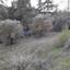 land for sale politiko nicosia 1062011 thumbnail 16181935