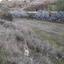 land for sale politiko nicosia 1062011 thumbnail 16181938