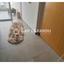 2 bedroom apartment for sale agios dometios nicosia 9009111 thumbnail 18455414