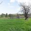 land for sale klirou nicosia 1037211 thumbnail 15600739
