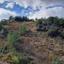 land for sale odou larnaca 1701211 thumbnail 4502787