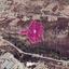 land for sale tochni larnaca 7872211 thumbnail 15714394