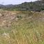 land for sale trimiklini limassol 8375211 thumbnail 14610479
