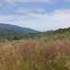 land for sale trimiklini limassol 8375211 thumbnail 14610482