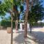 4 bedroom detached house for sale kouklia pafou paphos 8890311 thumbnail 17318518