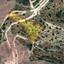 4348 SQM Land for sale in Alethriko, Larnaca thumbnail 16169169