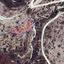 2342 SQM Land for sale in Kato Drys, Larnaca thumbnail 6320062