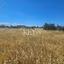 land for sale geri nicosia 8890411 thumbnail 17319685