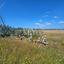 land for sale geri nicosia 8890411 thumbnail 17319691