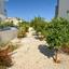 4 bedroom detached house for sale paralimni famagusta 1236511 thumbnail 5605550