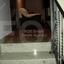 4 bedroom detached house for sale tseri nicosia 1152511 thumbnail 5156204