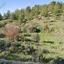 land for sale kapedes nicosia 8260511 thumbnail 13918163
