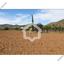 land for sale klirou nicosia 8960511 thumbnail 17790265