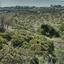 land for sale pyrgos limassol limassol 635611 thumbnail 340607