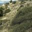 land for sale pyrgos limassol limassol 635611 thumbnail 340610