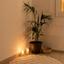 2 bedroom apartment for sale geroskipou paphos 8473711 thumbnail 17411701