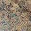 land for sale geri nicosia 8838711 thumbnail 17028955