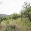 land for sale kaliana nicosia 8406711 thumbnail 14885396