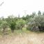 land for sale kaliana nicosia 8406711 thumbnail 14885398