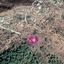plot for sale pigenia nicosia 1649811 thumbnail 5661600