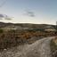 4683 SQM Land for sale in Omodos, Limassol thumbnail 11227830