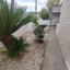 3 bedroom detached house for sale strovolos nicosia 1821911 thumbnail 14306792