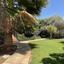 5 bedroom detached house for rent latsia nicosia 7908911 thumbnail 17478951