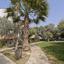 5 bedroom detached house for rent latsia nicosia 7908911 thumbnail 17478953