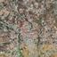 land for sale pyrgos limassol limassol 8412911 thumbnail 14909530