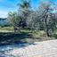 3 bedroom detached house for sale moni limassol 8608021 thumbnail 15785902