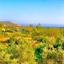3 bedroom detached house for sale moni limassol 8608021 thumbnail 15785910