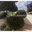 4 bedroom semi detached house for sale strovolos nicosia 8249021 thumbnail 13864955
