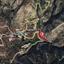 land for sale akoursos paphos 823021 thumbnail 15599797
