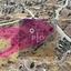 land for sale pano pyrgos nicosia 8275021 thumbnail 15157004