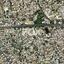 plot for sale kapsalos limassol 8081021 thumbnail 13089971
