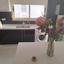 1 bedroom apartment for rent katholiki limassol 8393121 thumbnail 16336552