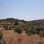 land for sale pachna limassol 1369121 thumbnail 15599703