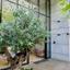 studio office for rent katholiki limassol 8880121 thumbnail 17263202
