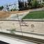2 bedroom apartment for rent aradippou larnaca 8903221 thumbnail 17382712