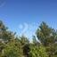 4 bedroom detached house for sale kellaki limassol 1445221 thumbnail 5113111