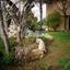 4 bedroom detached house for sale psimolofou nicosia 1728221 thumbnail 5509365